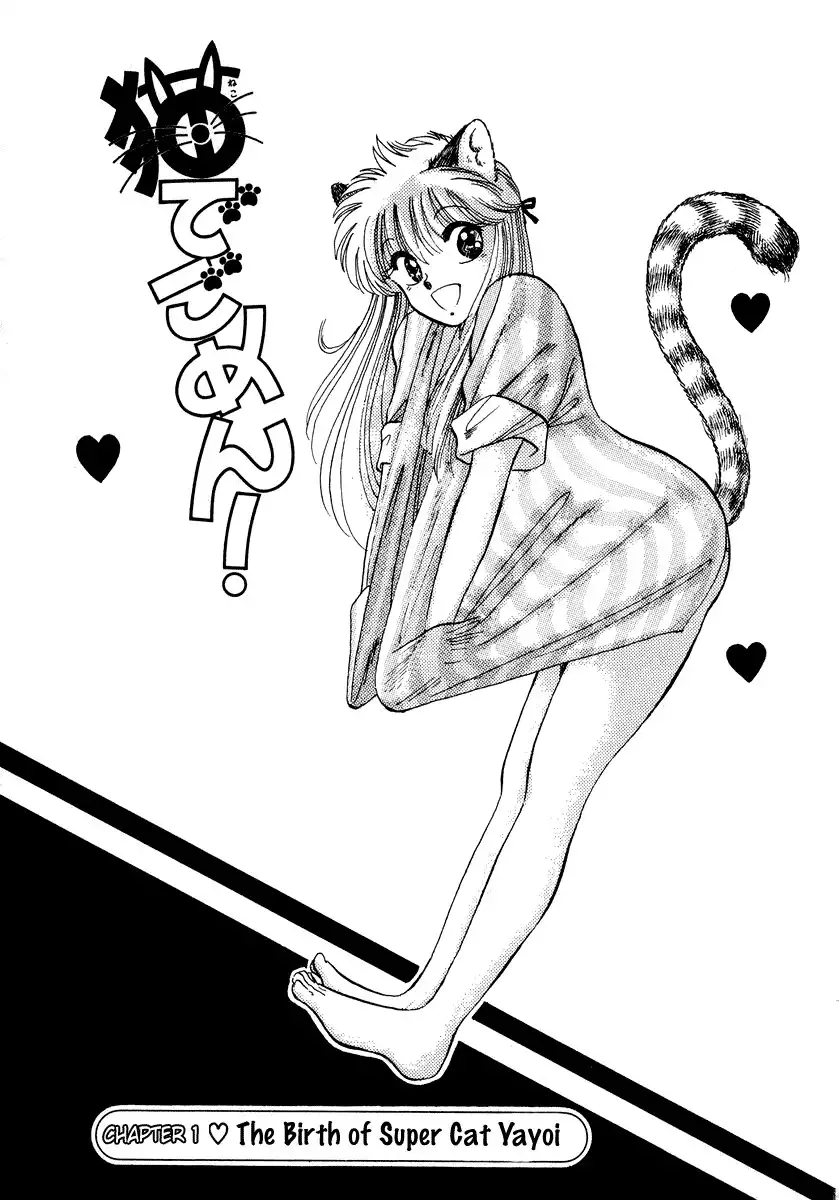 Neko de Gomen! Chapter 1 6